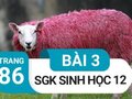 Giải sinh lớp 12: Đáp án bài 3 trang 86 SGK sinh học