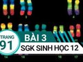 Giải sinh lớp 12: Đáp án bài 3 trang 91 SGK sinh học