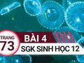 Giải bài 4 trang 73 sách giáo khoa sinh học lớp 12
