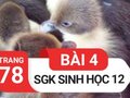 Giải bài 4 trang 78 sách giáo khoa sinh học lớp 12