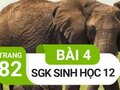 Giải bài 4 trang 82 sách giáo khoa sinh học lớp 12