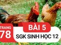 Giải sinh lớp 12: Đáp án bài 5 trang 78 SGK sinh học 