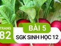 Giải sinh lớp 12: Đáp án bài 5 trang 82 SGK sinh học