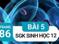 Giải bài 5 trang 86 sách giáo khoa sinh học lớp 12