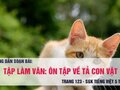 Tập làm văn: Ôn tập về tả con vật
