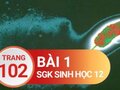 Đáp án bài 1 trang 102 sách giáo khoa sinh học 12