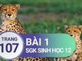 Đáp án bài 1 trang 107 sách giáo khoa sinh học 12 