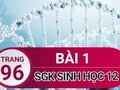 Giải sinh lớp 12: Đáp án bài 1 trang 96 SGK sinh học