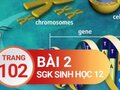 Giải bài 2 trang 102 sách giáo khoa sinh học lớp 12