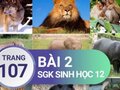 Giải bài 2 trang 107 sách giáo khoa sinh học lớp 12