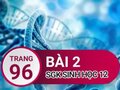 Đáp án bài 2 trang 96 sách giáo khoa sinh học 12