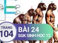 Câu hỏi bài 24 trang 104 sgk Sinh học 12