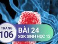 Giải sinh lớp 12: Đáp án bài 24 trang 106 SGK sinh học