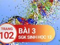 Giải sinh lớp 12: Đáp án bài 3 trang 102 SGK sinh học