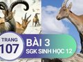 Giải sinh lớp 12: Đáp án bài 3 trang 107 SGK sinh học