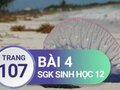 Đáp án bài 4 trang 107 sách giáo khoa sinh học 12