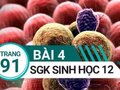 Đáp án bài 4 trang 91 sách giáo khoa sinh học 12