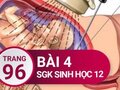 Giải sinh lớp 12: Đáp án bài 4 trang 96 SGK sinh học