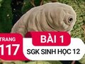 Đáp án bài 1 trang 117 sách giáo khoa sinh học 12