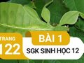 Đáp án bài 1 trang 122 sách giáo khoa sinh học 12