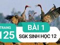 Giải sinh lớp 12: Đáp án bài 1 trang 125 SGK sinh học