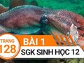 Giải sinh lớp 12: Đáp án bài 1 trang 128 SGK sinh học