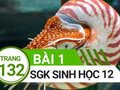 Giải bài 1 trang 132 sách giáo khoa sinh học lớp 12