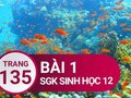 Đáp án bài 1 trang 135 sách giáo khoa sinh học 12