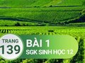 Giải bài 1 trang 139 sách giáo khoa sinh học lớp 12