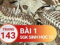 Đáp án bài 1 trang 143 sách giáo khoa sinh học 12