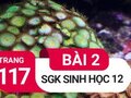 Giải bài 2 trang 117 sách giáo khoa sinh học lớp 12