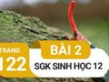 Giải bài 2 trang 122 sách giáo khoa sinh học lớp 12