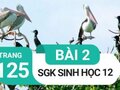 Đáp án bài 2 trang 125 sách giáo khoa sinh học 12