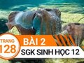 Đáp án bài 2 trang 128 sách giáo khoa sinh học 12