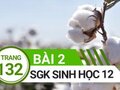 Giải sinh lớp 12: Đáp án bài 2 trang 132 SGK sinh học