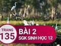 Giải bài 2 trang 135 sách giáo khoa sinh học lớp 12