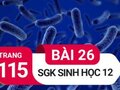 Giải bài 26 trang 115 sách giáo khoa sinh học lớp 12