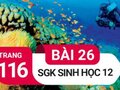 Giải sinh lớp 12: Đáp án bài 26 trang 116 SGK sinh học