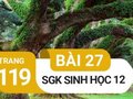 Giải sinh lớp 12: Đáp án bài 27 trang 119 SGK sinh học