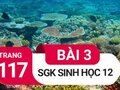 Giải sinh lớp 12: Đáp án bài 3 trang 117 SGK sinh học
