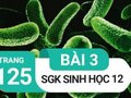 Giải bài 3 trang 125 sách giáo khoa sinh học lớp 12