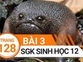 Giải bài 3 trang 128 sách giáo khoa sinh học lớp 12