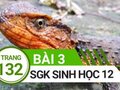 Đáp án bài 3 trang 132 sách giáo khoa sinh học 12