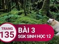 Giải sinh lớp 12: Đáp án bài 3 trang 135 SGK sinh học