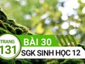 Đáp án bài 30 trang 131 sách giáo khoa sinh học 12