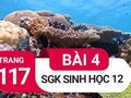 Đáp án bài 4 trang 117 sách giáo khoa sinh học 12