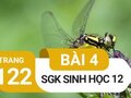 Đáp án bài 4 trang 122 sách giáo khoa sinh học 12