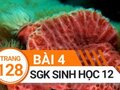 Giải sinh lớp 12: Đáp án bài 4 trang 128 SGK sinh học