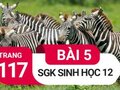 Giải bài 5 trang 117 sách giáo khoa sinh học lớp 12