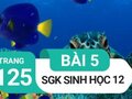 Đáp án bài 5 trang 125 sách giáo khoa sinh học 12